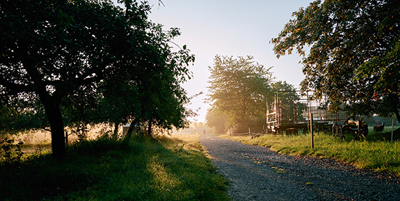 Wander- und Spazierweg in Schloss Hamborn