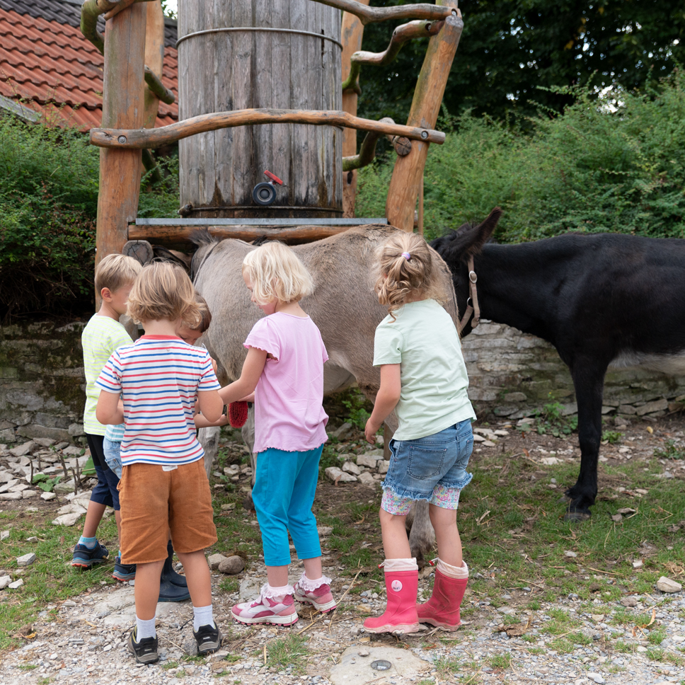 Schülerhof