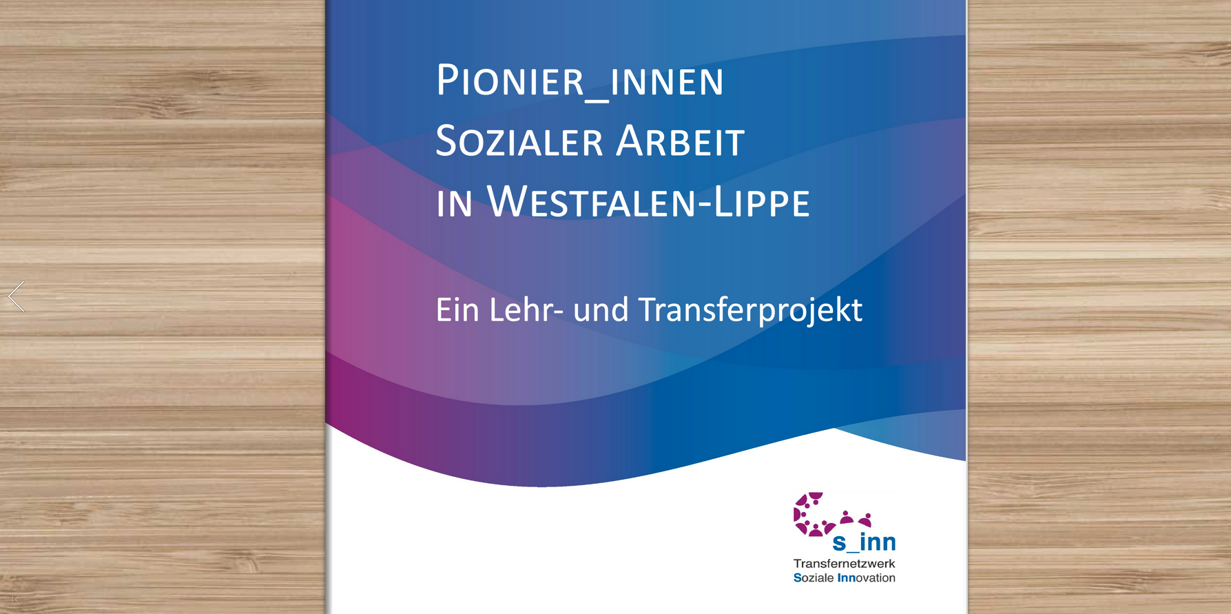 Pionier:innen Pionier:innen
