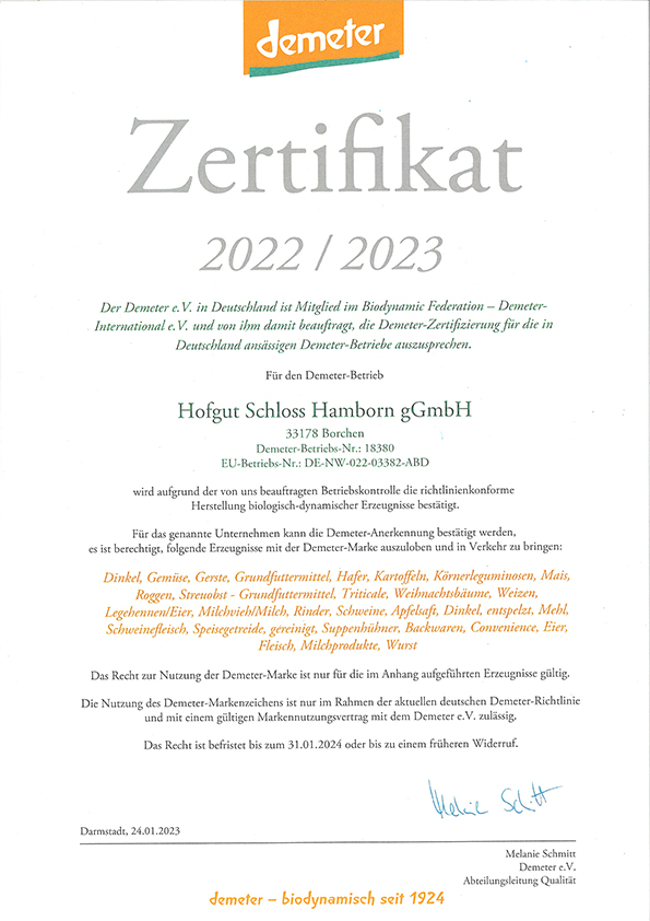 Zertifikat Zertifikat